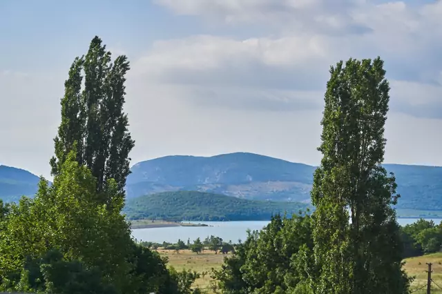 Вид